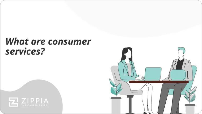 What are consumer services?