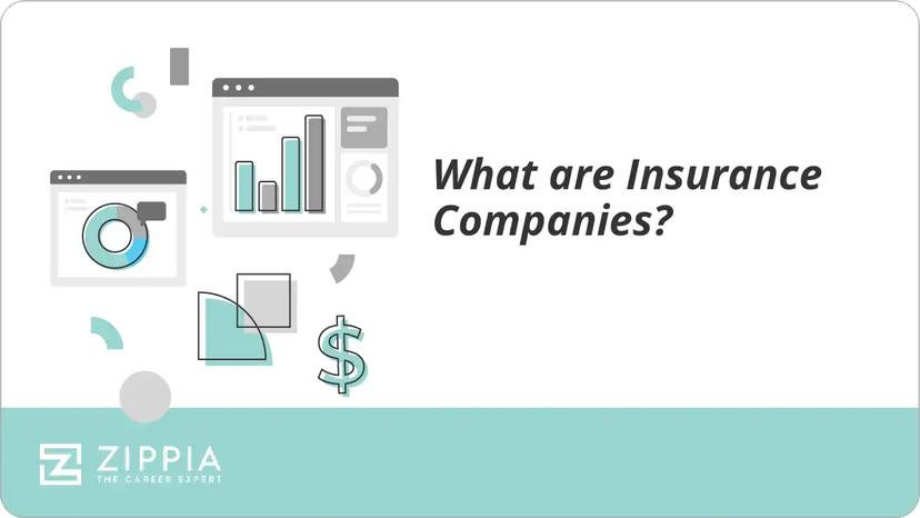 What are Insurance Companies?