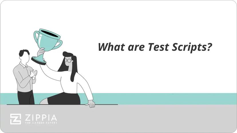 What are Test Scripts?