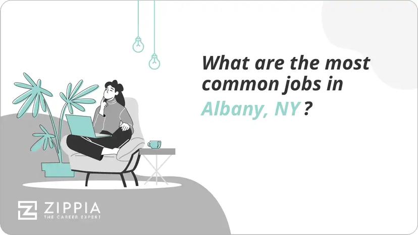 What are the most common jobs in Albany, NY?