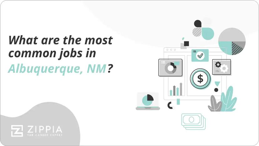 What are the most common jobs in Albuquerque, NM?