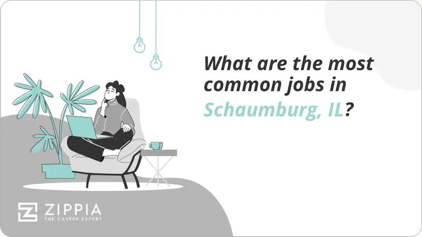 What are the most common jobs in Schaumburg, IL?