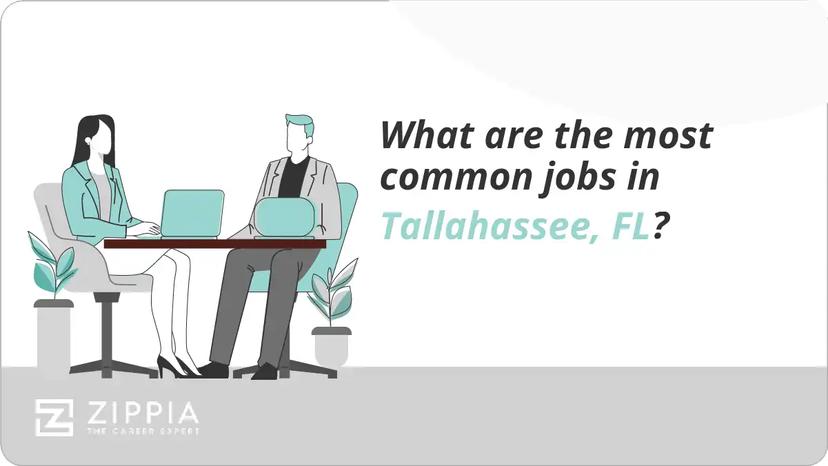 What are the most common jobs in Tallahassee, FL?