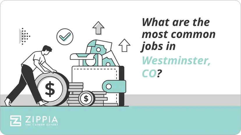 What are the most common jobs in Westminster, CO?