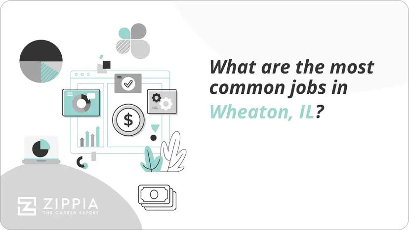 What are the most common jobs in Wheaton, IL?