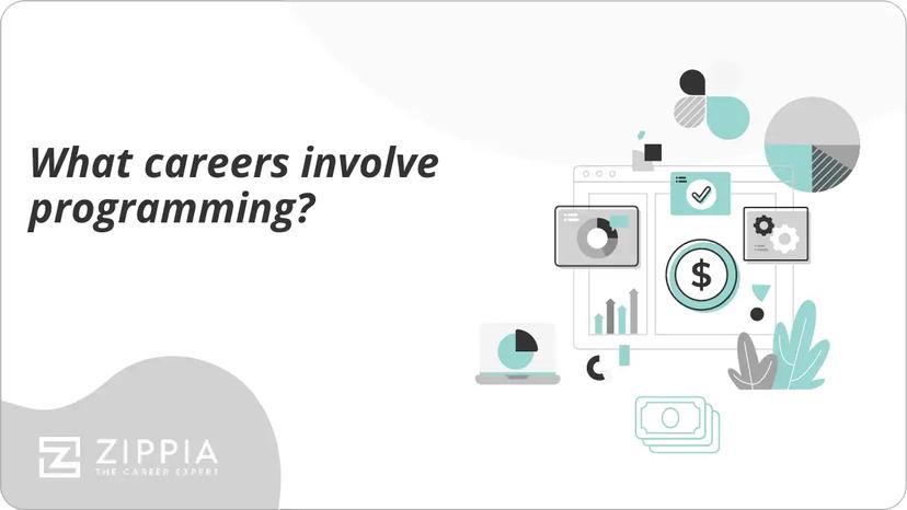 What careers involve programming?