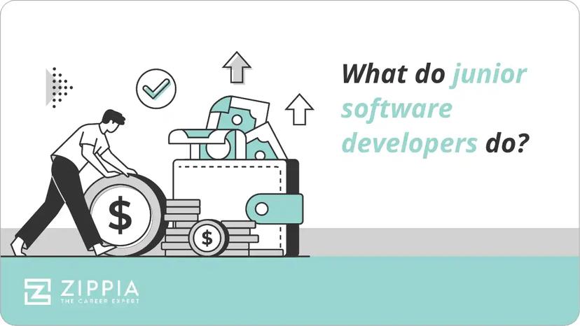 What do junior software developers do?