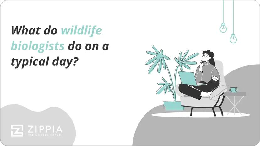 What do wildlife biologists do on a typical day?