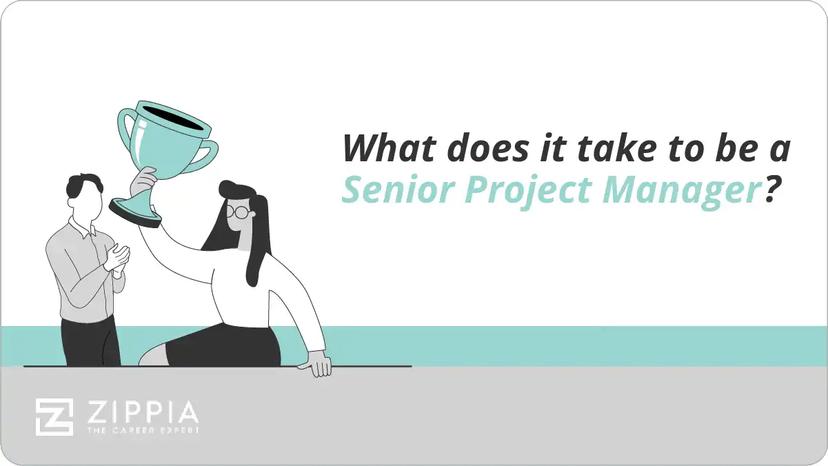 What does it take to be a Senior Project Manager?