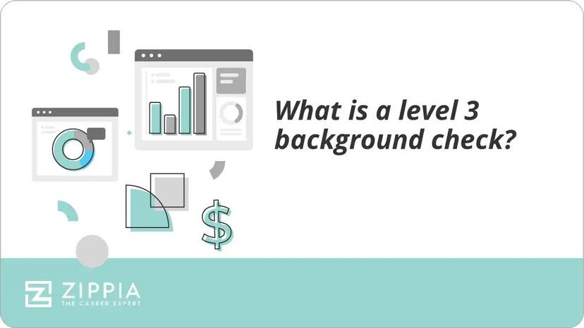What is a level 3 background check?