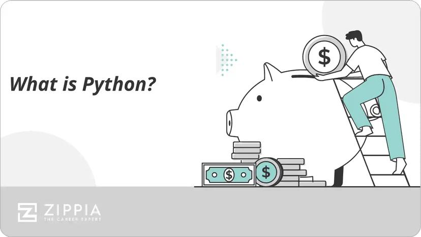 What is Python?