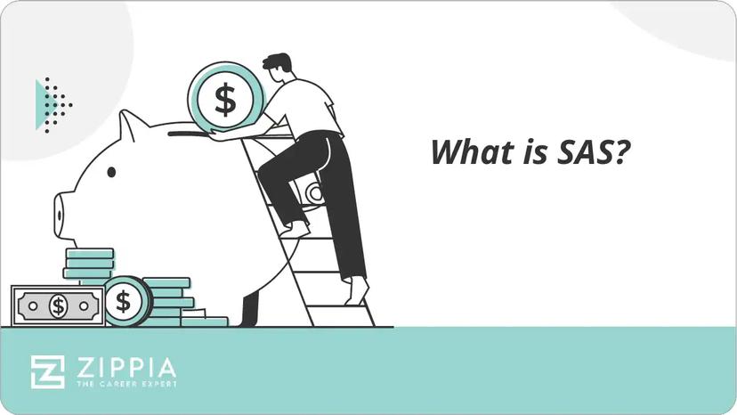 What is SAS?