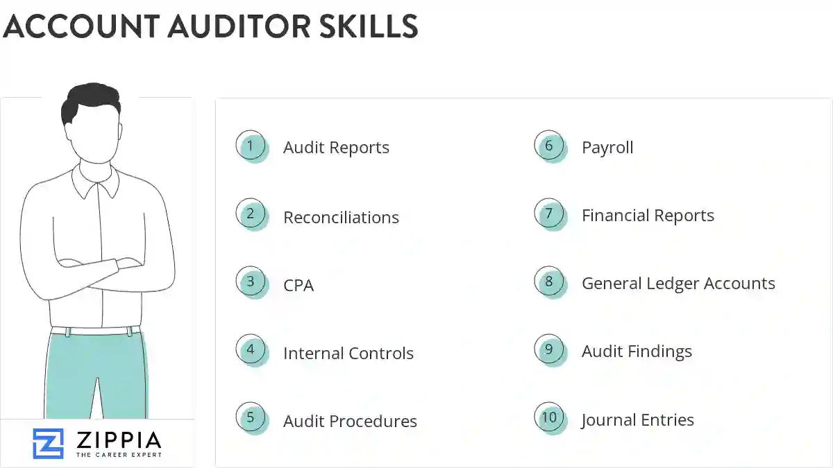 Account auditor skills