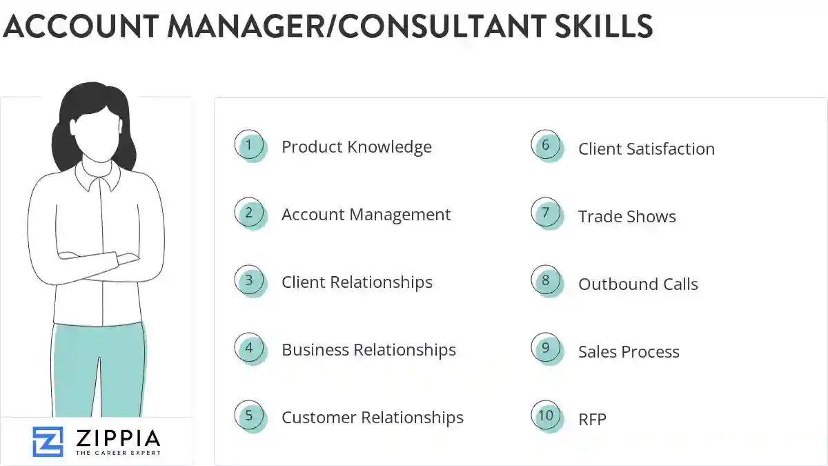 Account manager/consultant skills