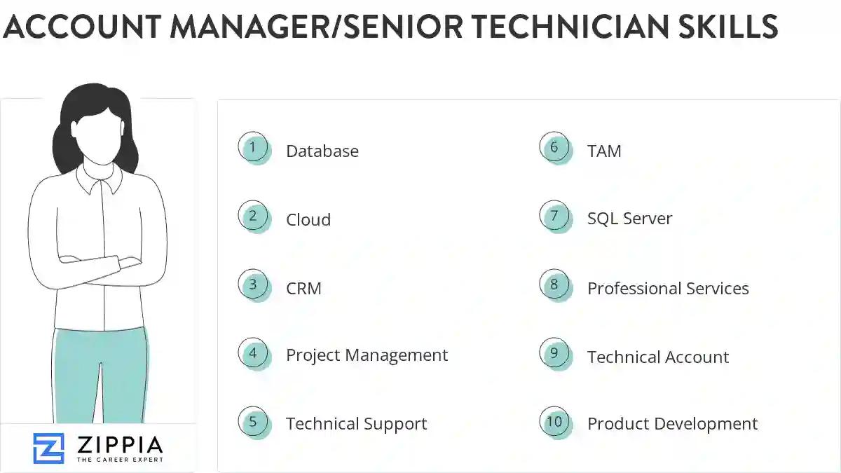 Account manager/senior technician skills