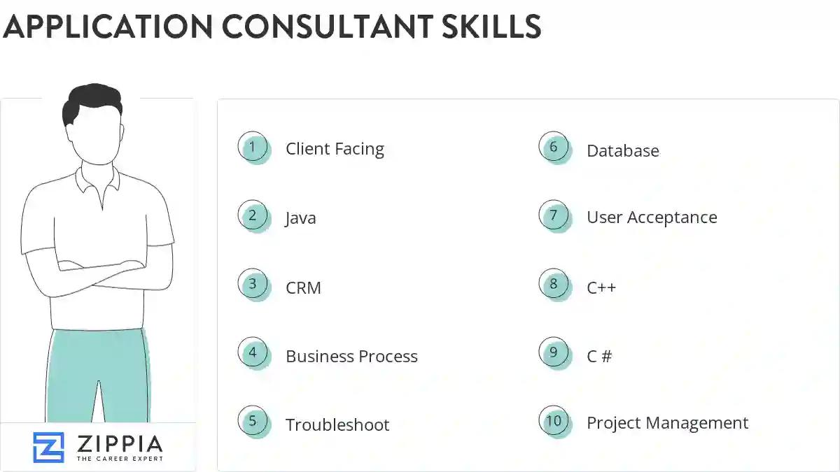 Application consultant skills