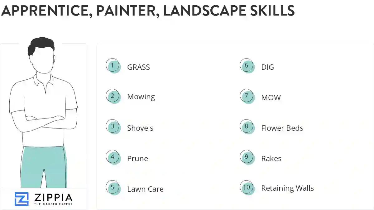 Apprentice, painter, landscape skills