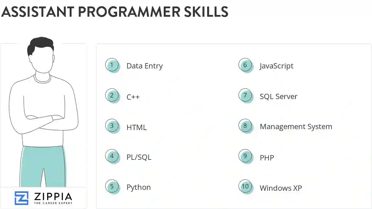 Assistant programmer skills