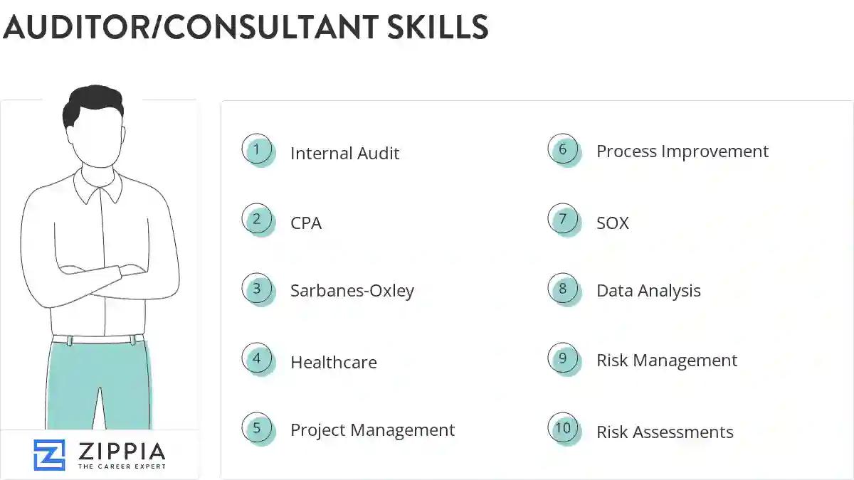 Auditor/consultant skills