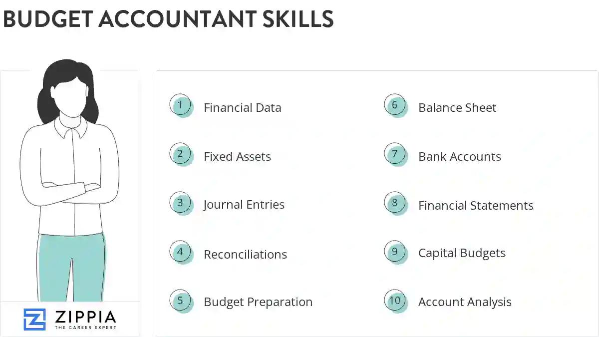 Budget accountant skills