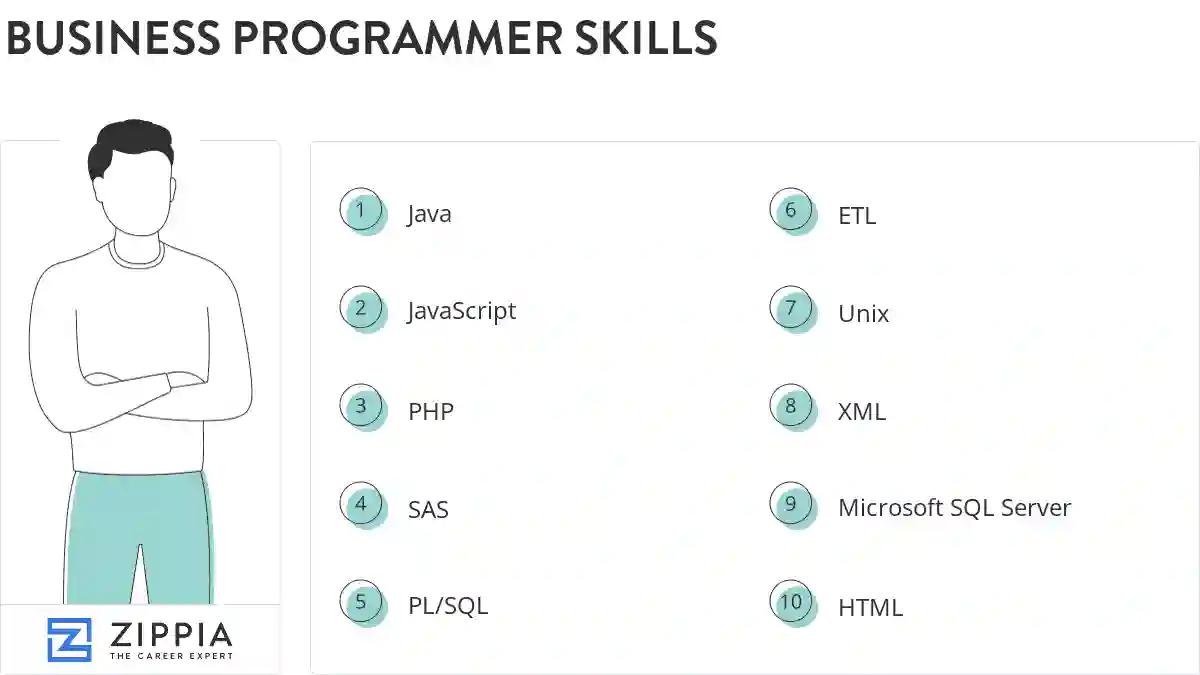 Business programmer skills