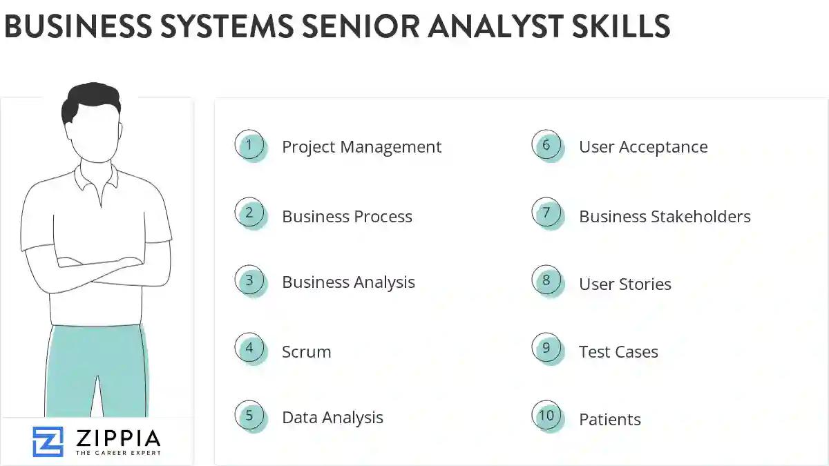 Business systems senior analyst skills