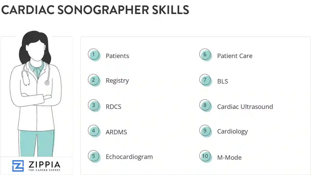 Cardiac sonographer skills