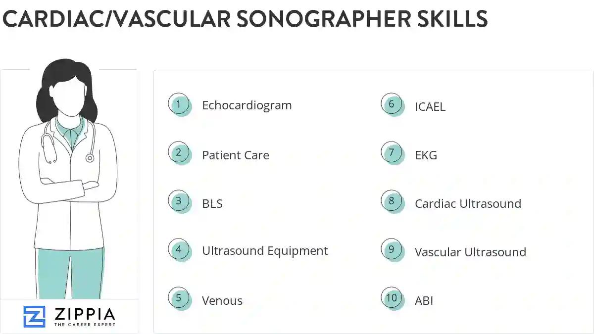 Cardiac/vascular sonographer skills