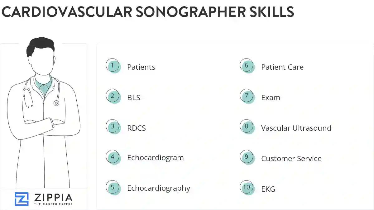 Cardiovascular sonographer skills
