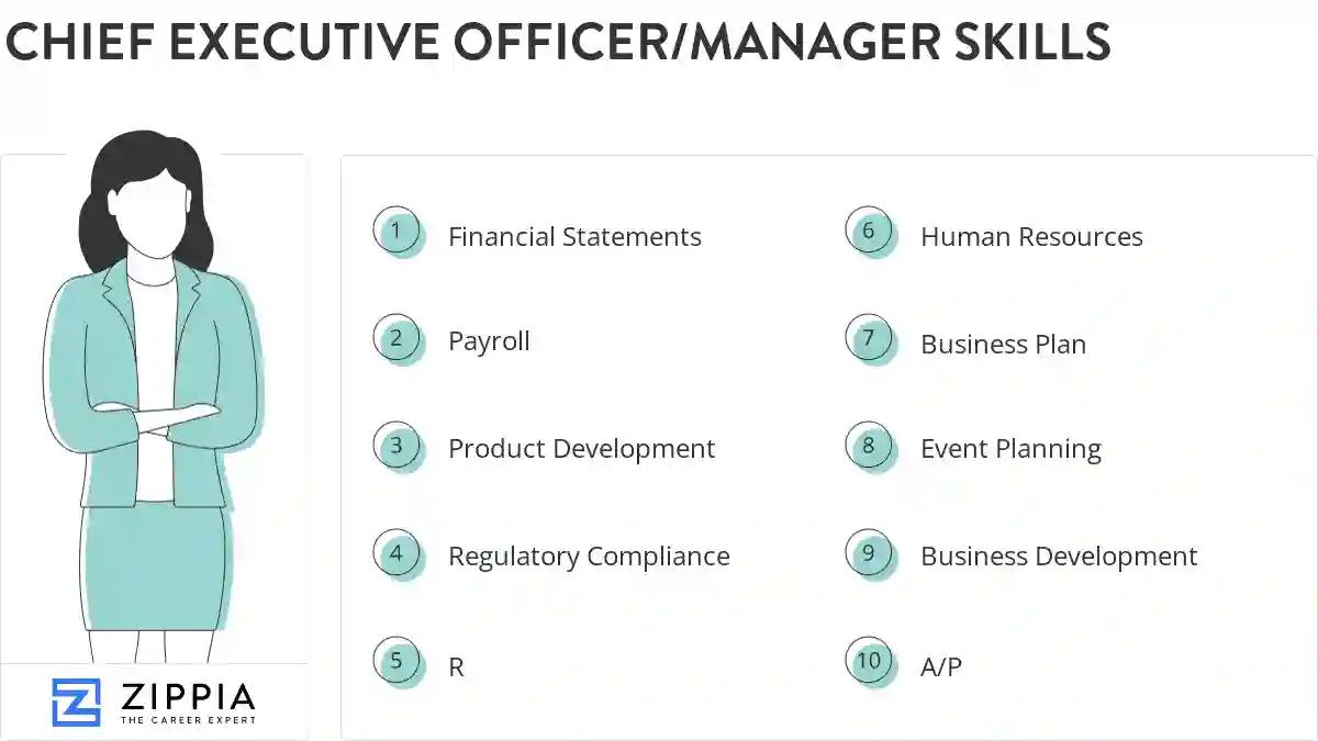 Chief executive officer/manager skills