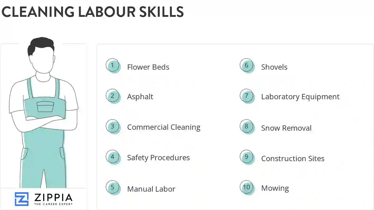 Cleaning labour skills