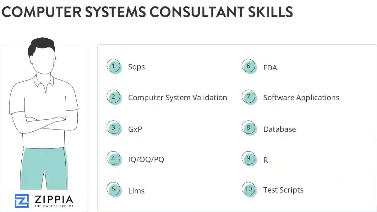 Computer systems consultant skills