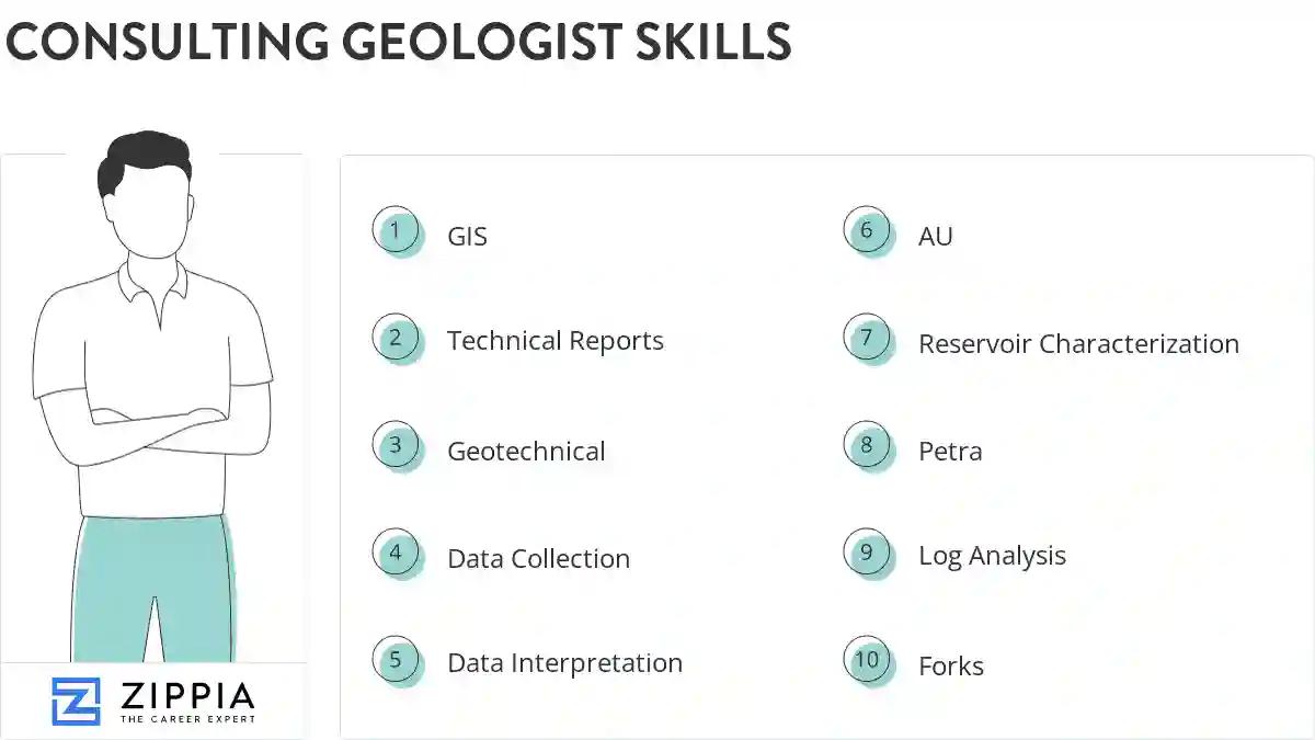Consulting geologist skills