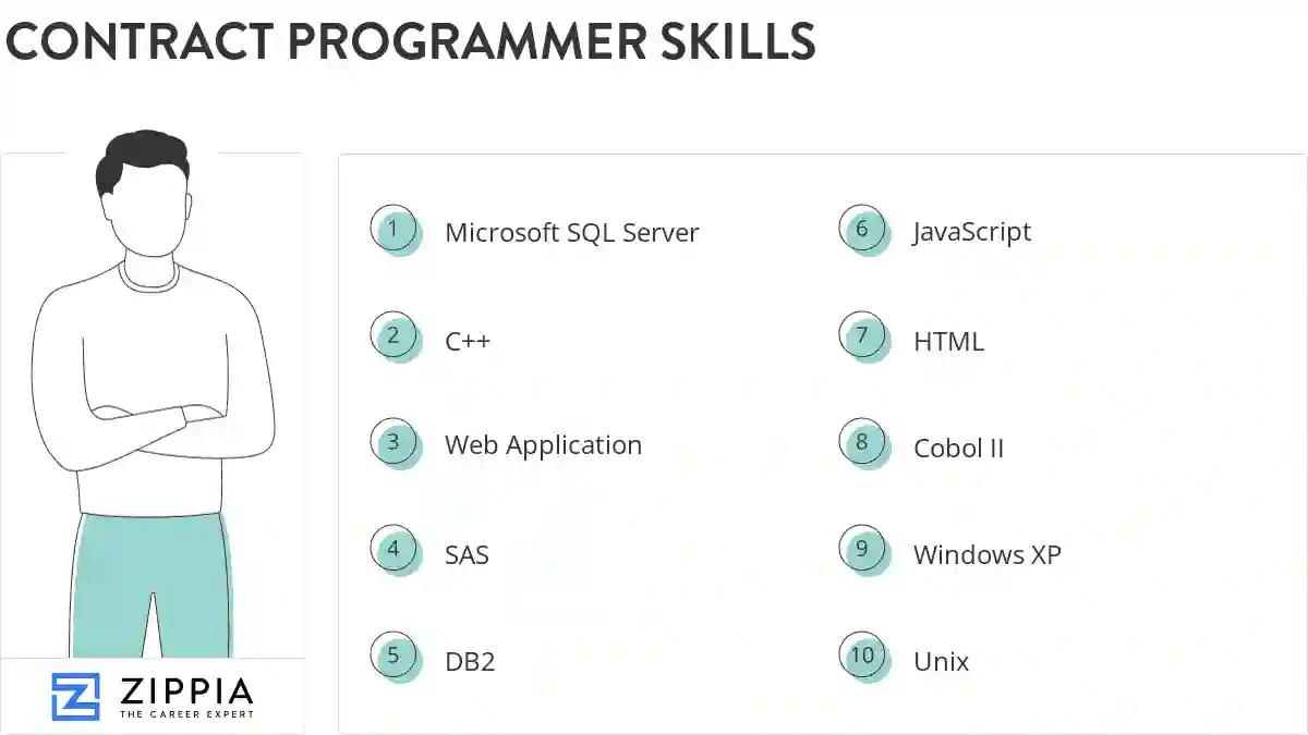 Contract programmer skills
