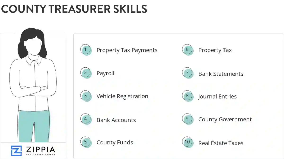 County treasurer skills