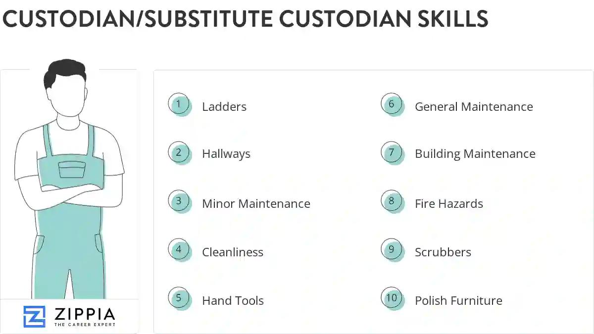 Custodian/substitute custodian skills