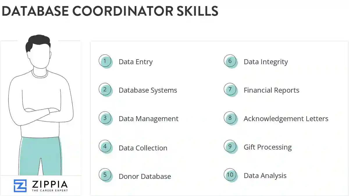 Database coordinator skills