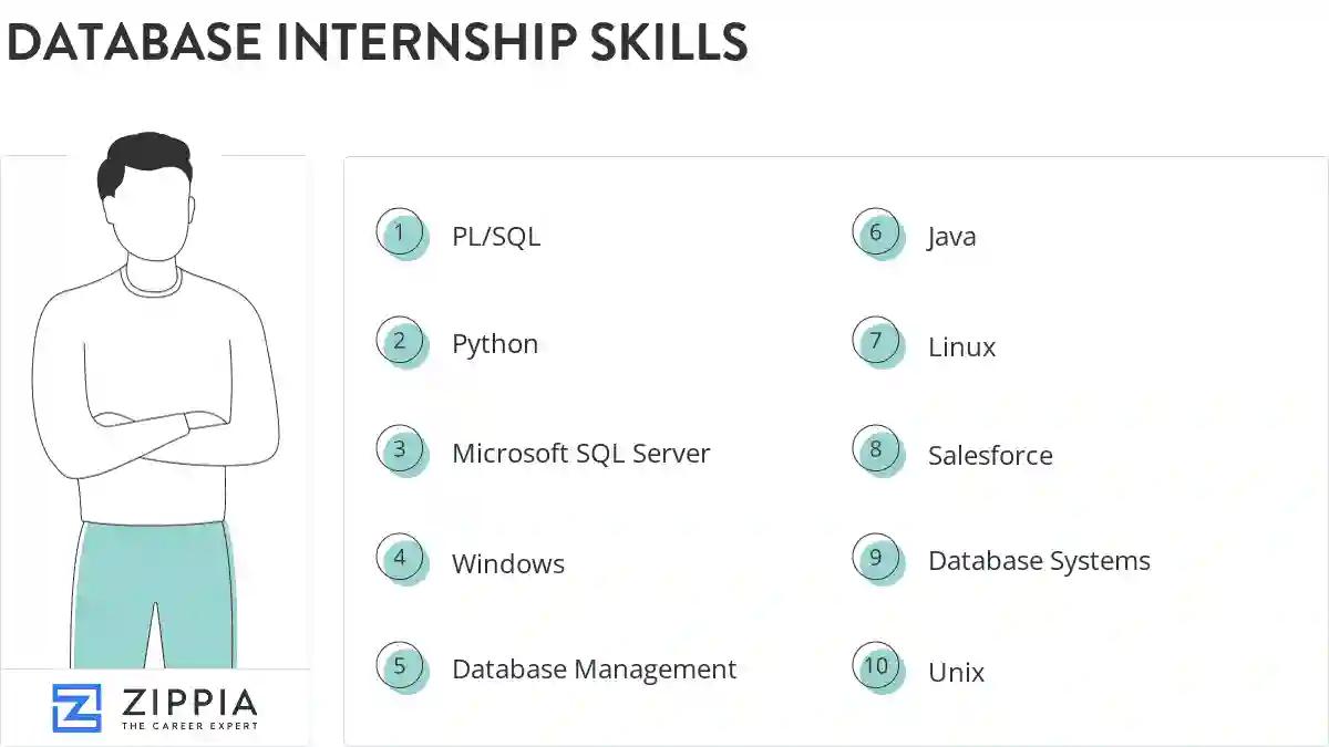 Database internship skills