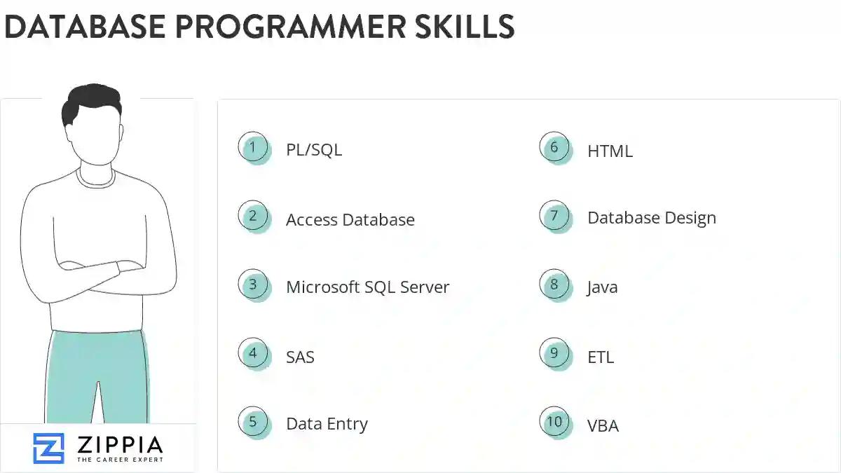 Database programmer skills
