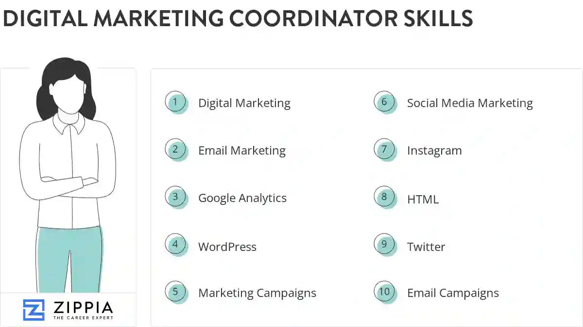 Digital marketing coordinator skills