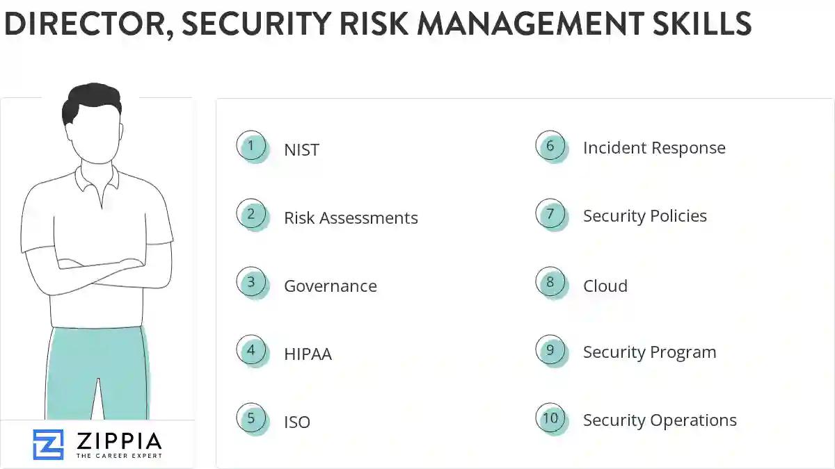 Director, security risk management skills