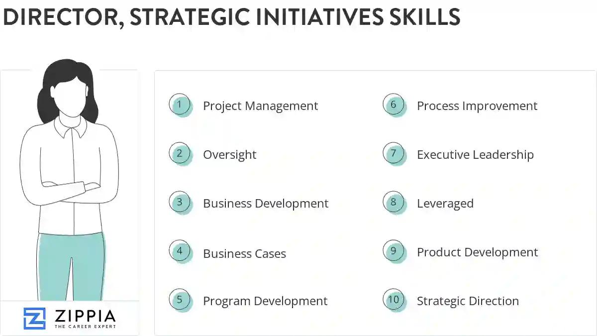 Director, strategic initiatives skills