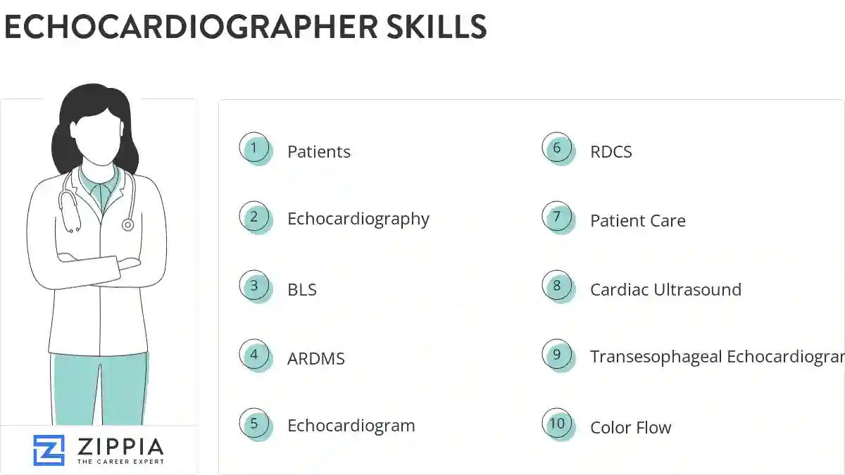 Echocardiographer skills