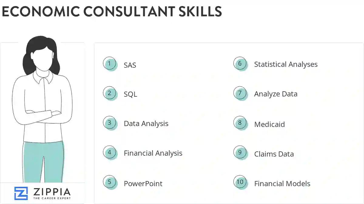 Economic consultant skills