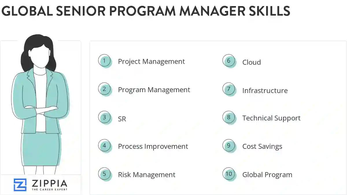 Global senior program manager skills