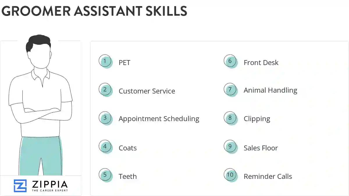 Groomer assistant skills