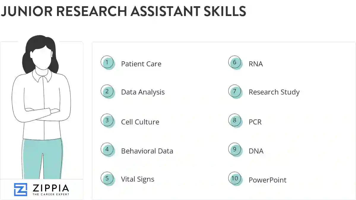Junior research assistant skills