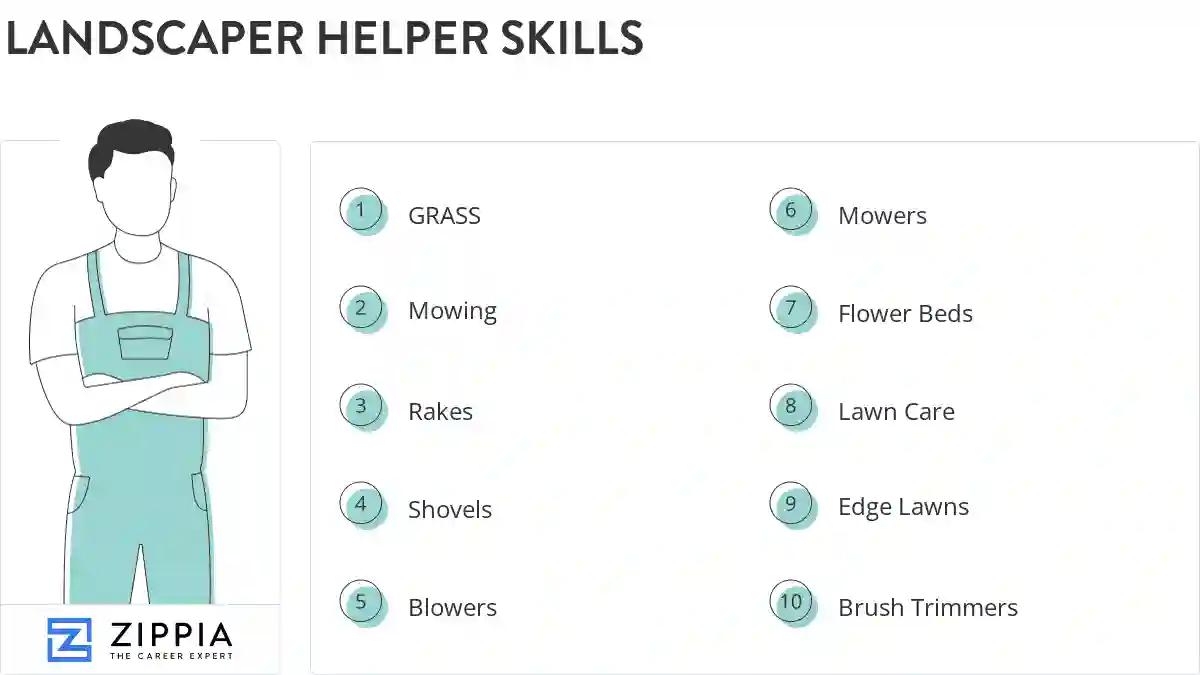 Landscaper helper skills