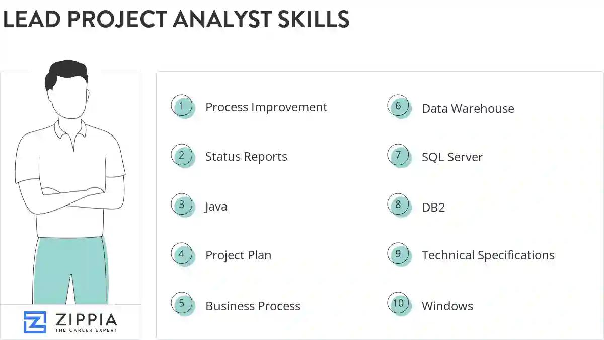 Lead project analyst skills