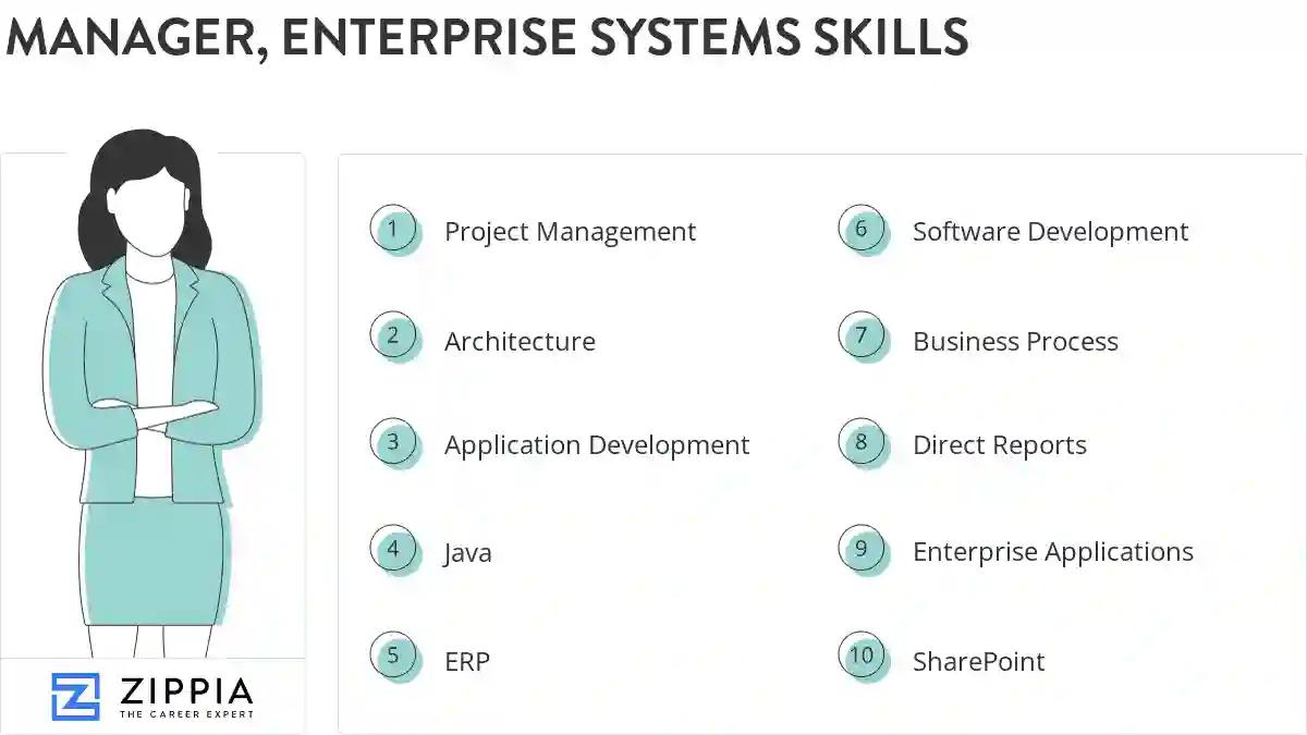 Manager, enterprise systems skills